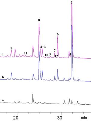 Induction of New Lactam Derivatives From the Endophytic Fungus Aplosporella javeedii Through an OSMAC Approach